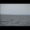 IMG_6545
3/21/2007 1:48:44 PM